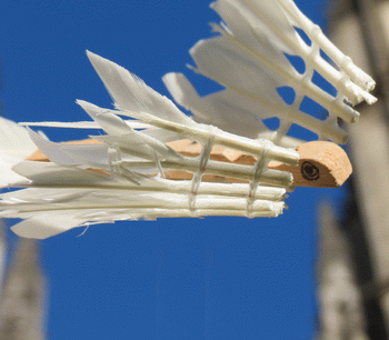 Agnes Obel - Citizen of Glass Image 1