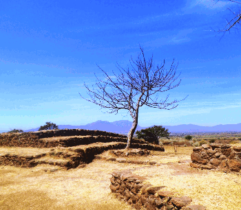 Jil Is Lucky - Off the wall Image 1