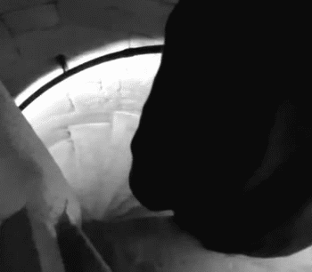 Animal Triste - Jericho Image 1