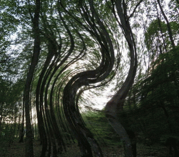 Exsonvaldes - Aranda Image 1